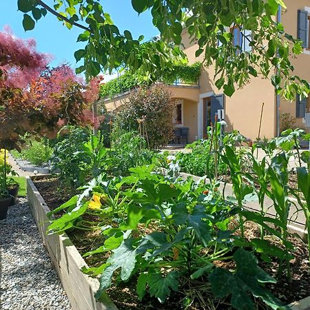 Appartement Entre Sisteron Et Gorges De La Meouge " Les Hauts De Toscane " Ribiers Экстерьер фото