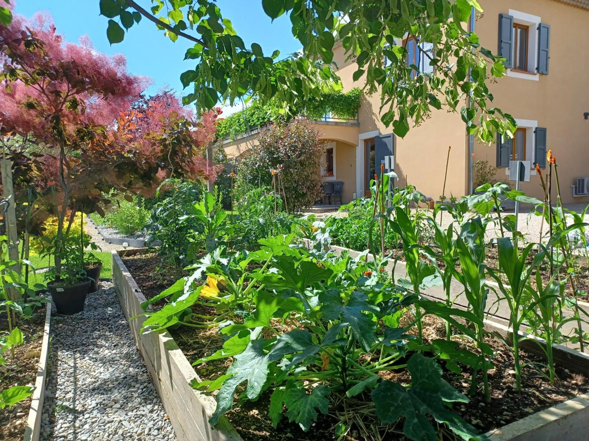 Appartement Entre Sisteron Et Gorges De La Meouge " Les Hauts De Toscane " Ribiers Экстерьер фото